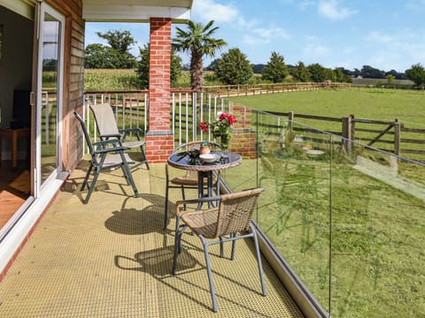 Terrace | Cedar Lodge - Solar Rise Lodges, Old Buckenham