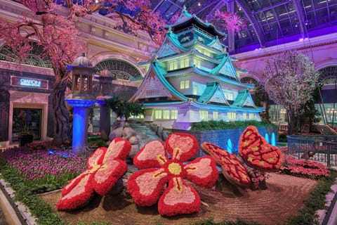 Step into immersive displays that make evenings feel magical.