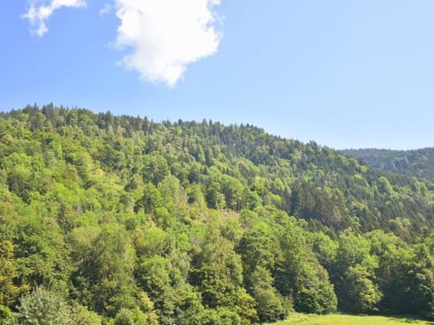 Ferienhaus Julia Sattendorf am Ossiacher See - Ferienhaus House in Villach