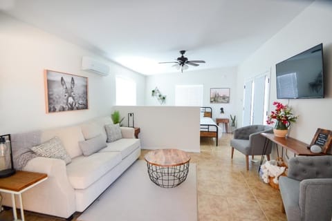 Sofa sleeper with queen pull out.