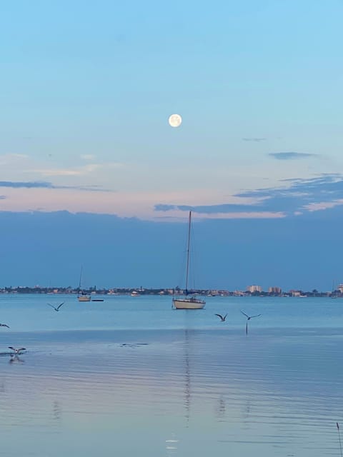 Boca Ciega bay.  2-3 minute walk from your front door.  