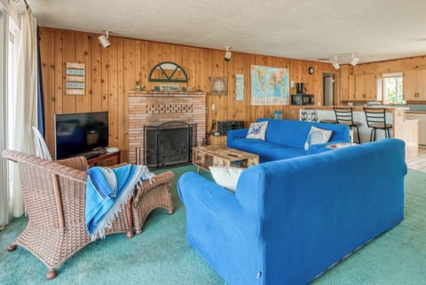 Living with television