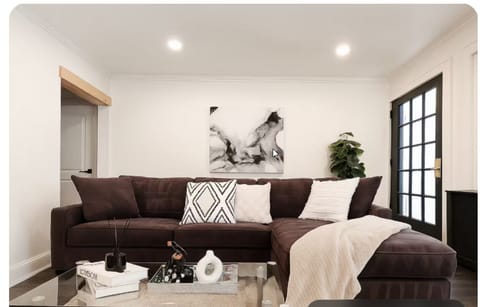 Clutter-Free Cozy Modern Living room