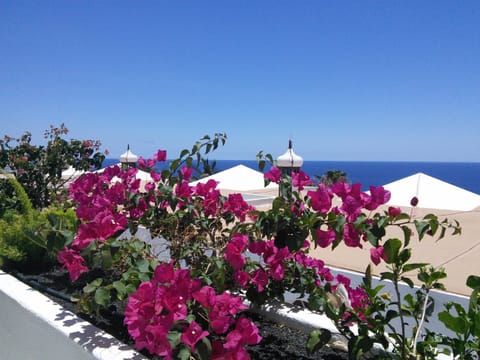 Lagoverdesuites B1 balcony garden