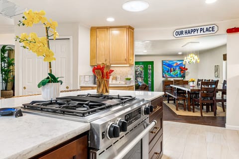 Gas cook top and stove for cooking.