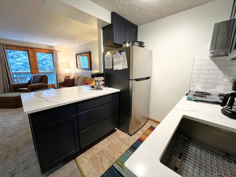 Elevation Vacation Rentals - Ridgewood 54 (8)