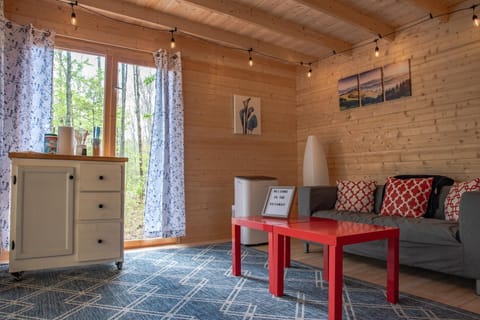 Scandinavian Cabin at Getaway on Ranger Creek (1912)