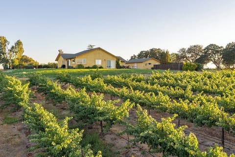 'Wild Vines' is a great retreat in Paso's wine country
