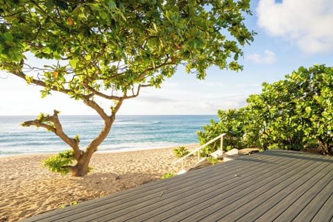 Beach behind the house  is beautiful with this magical tree for shade .)