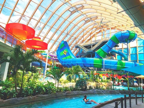 Dive into tropical fun beneath soaring indoor waterpark arches.
