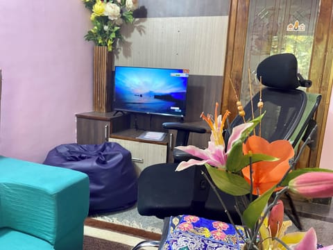 Television