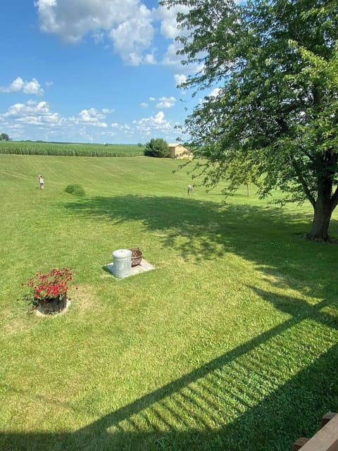 Outdoors for S’mores!