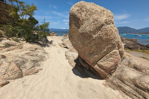 Immediate Surroundings [summer] (<1 km)