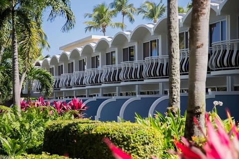 Arrive to a palm-framed resort exterior with classic charm.