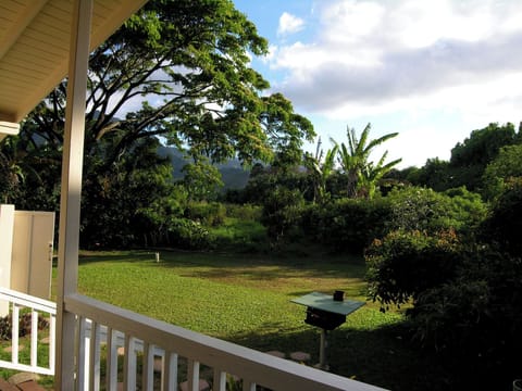 View from back lanai