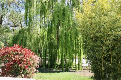 Gites Terra di a Bravona - Appartement Lena Vue sur Parc