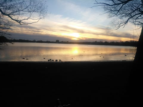 Sunset over "Duck Pond" with ducks in foreground! Our house is middle left.