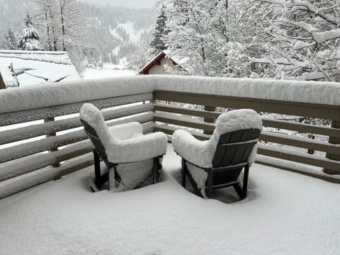 Over one foot of powder January 3rd!
