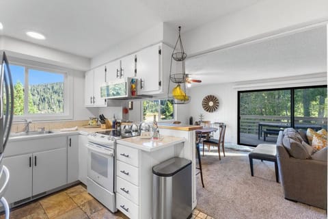 Kitchen into Dining Room Space