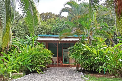 Watch the Macaws or monkeys as you relax on the deck.