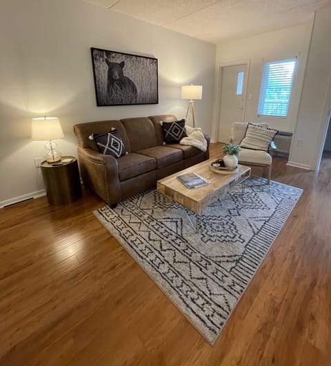 Cozy living room with new queen sleeper sofa