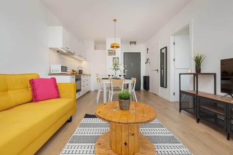 Comfortable, fold-out sofa in the living room. 