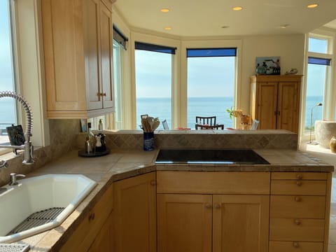 Glass induction stove top.