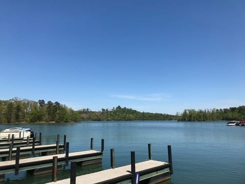 Lake Hartwell from the docks