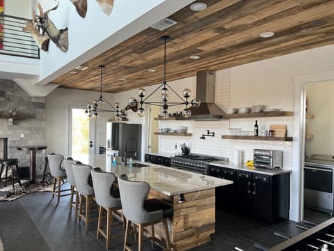 Chef's kitchen with large island