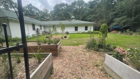 Back gardens and sitting areas 