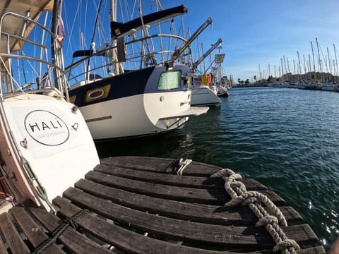 Marina