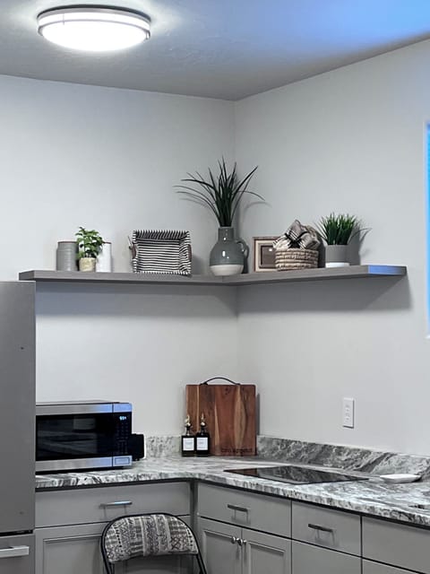 electric induction cooktop. Microwave with convection oven, air fryer.