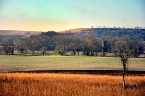 View of Fur N Feathers Cabin & Silo