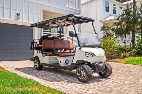 6 Passenger Golf Cart