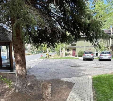 Parking by bus stop only