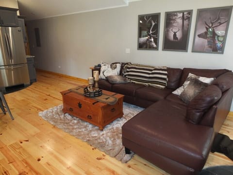 LIVING ROOM:  Another angle showing the proximity to the kitchen and the hall that goes to the bedrooms (at the back of the photo).
