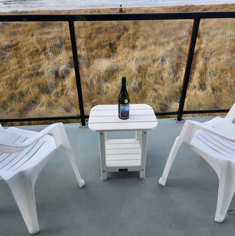 Ocean Front view from the patio