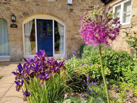 Briarhill House - External