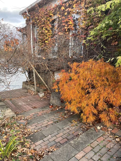 Steps along coy pond leading down to sea wall.