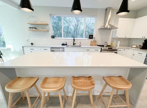 Large island, fits 4 