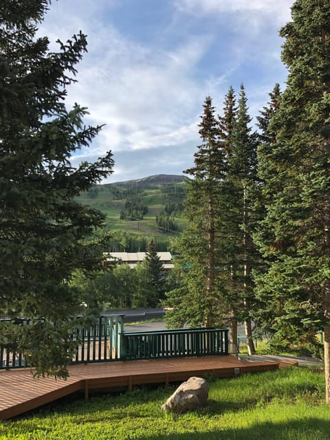 View of Ski Resort