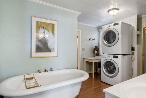 main level bath/ shower/ laundry 