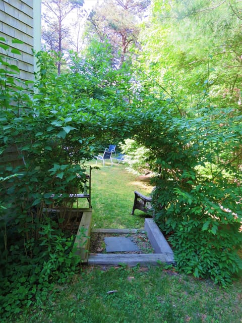 side yard