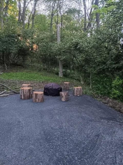 Firepit with firewood