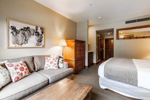 Bedroom / Living Area - 1 King Bed and Sleeper Sofa