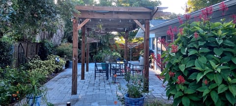 Back Patio