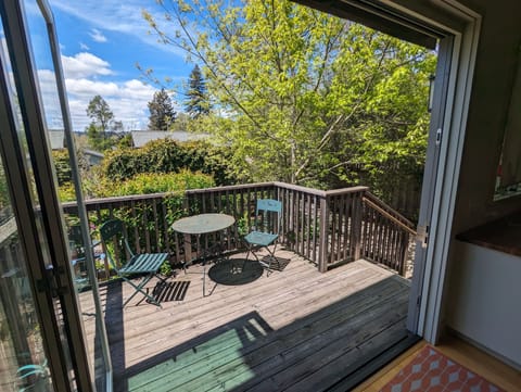 Folding door from Kitchen to outdoor seating