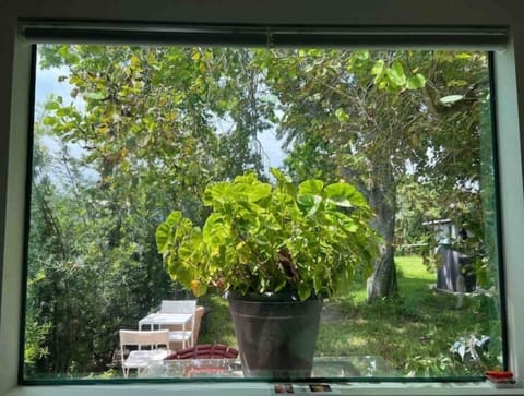 Nature everywhere you look at