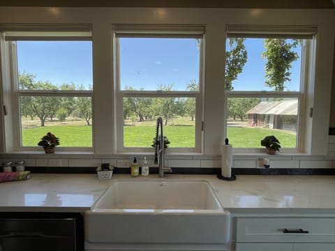 Second kitchen sink overlooking backyard