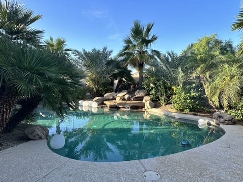 Tropical Pool with Stone Fountain 